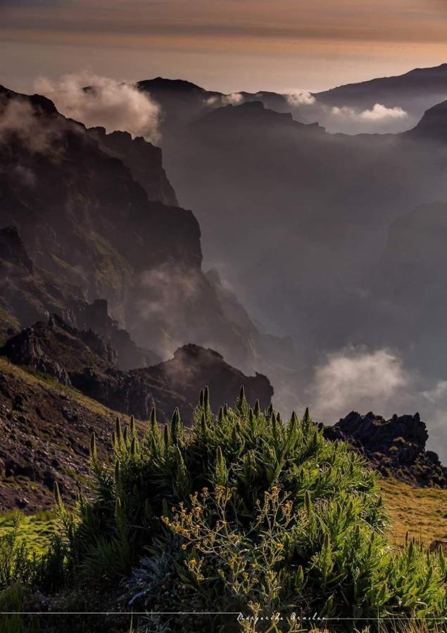 Vila Faia Caniço Exteriér fotografie