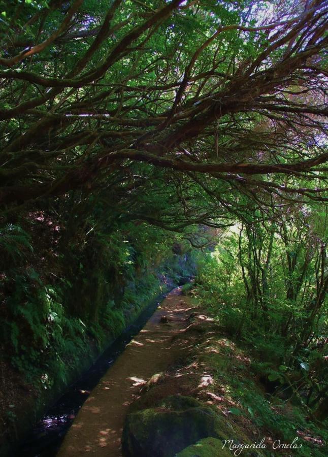 Vila Faia Caniço Exteriér fotografie