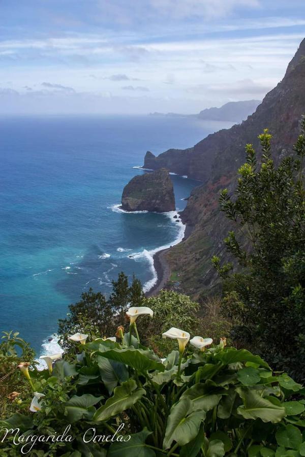 Vila Faia Caniço Exteriér fotografie