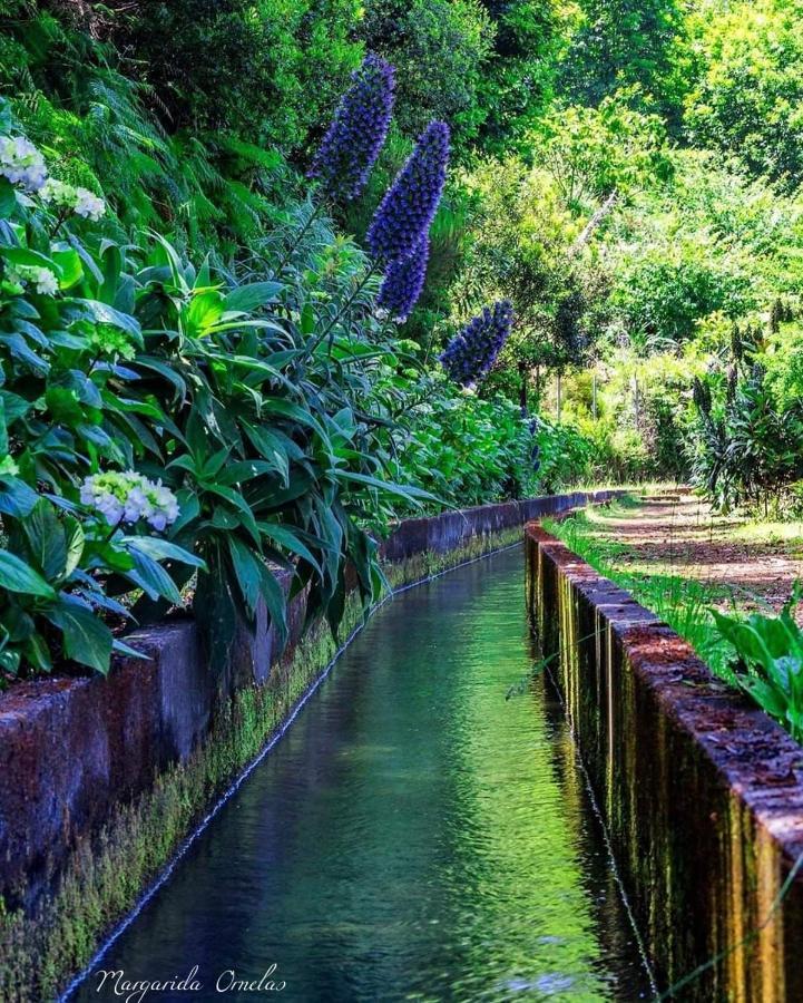 Vila Faia Caniço Exteriér fotografie