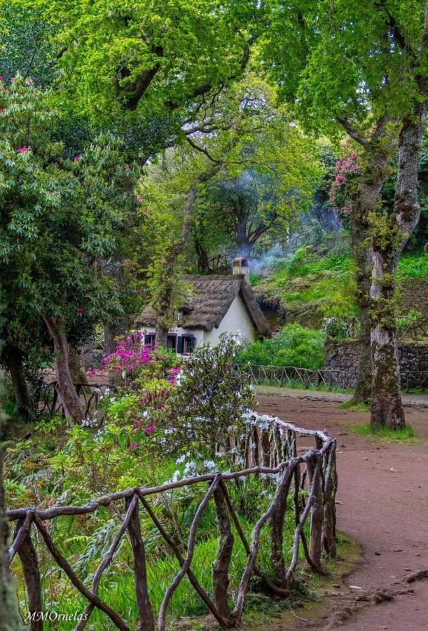 Vila Faia Caniço Exteriér fotografie